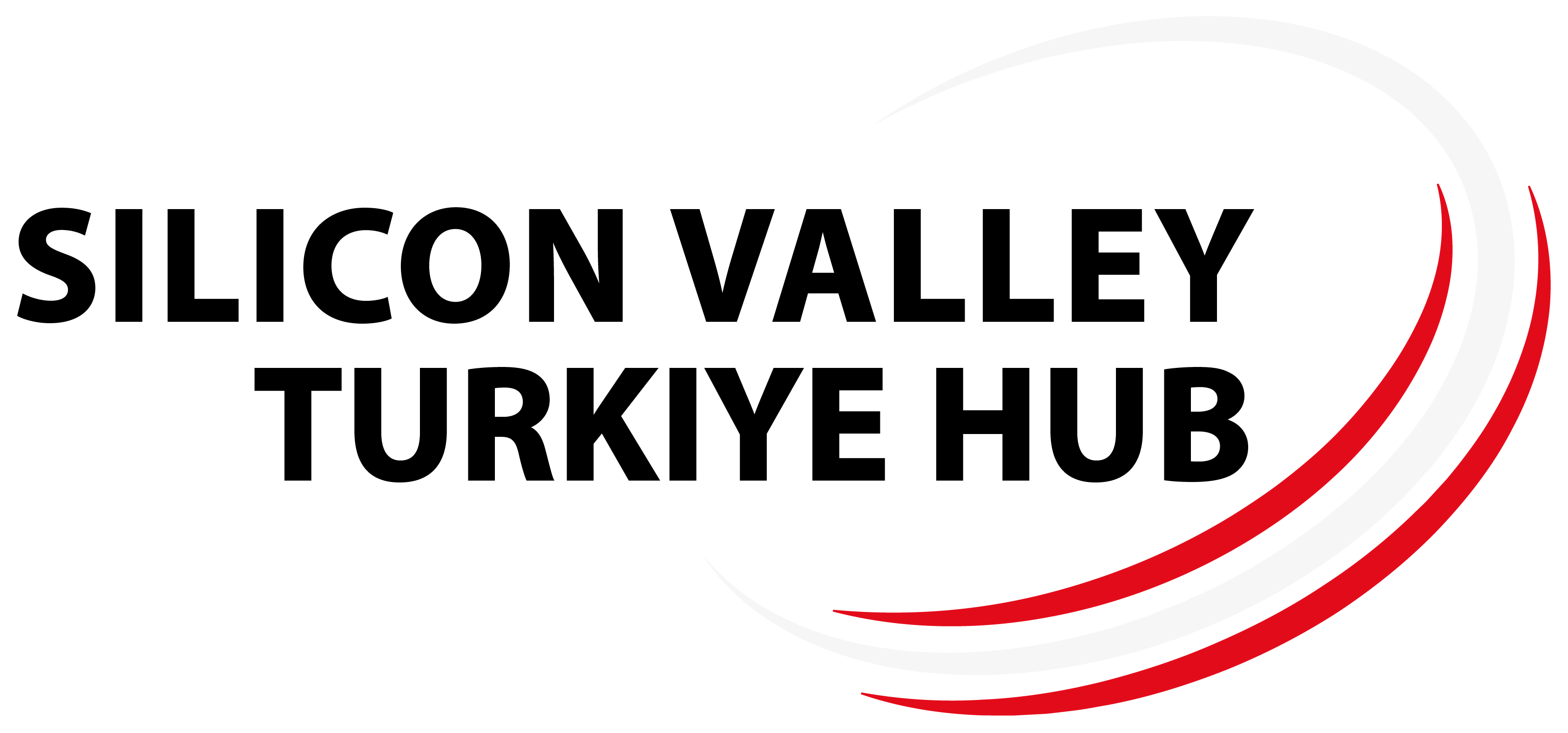 Silicon Valley Turkiye Hub